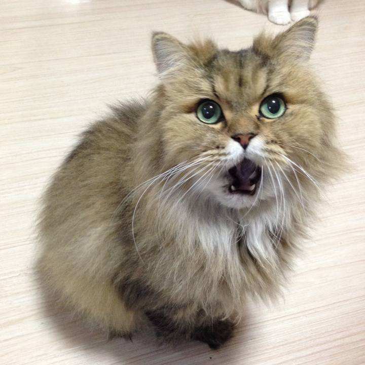 Dde31a07 743b 49c8 a9f3 bfb0fe8dfd40