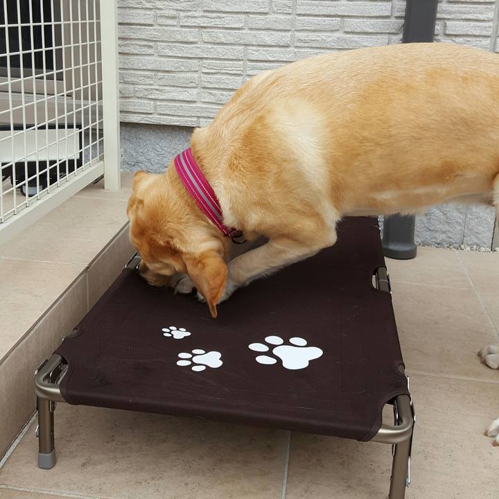 Dde3237b 9fd5 42bf 90a1 2c06332d6c99