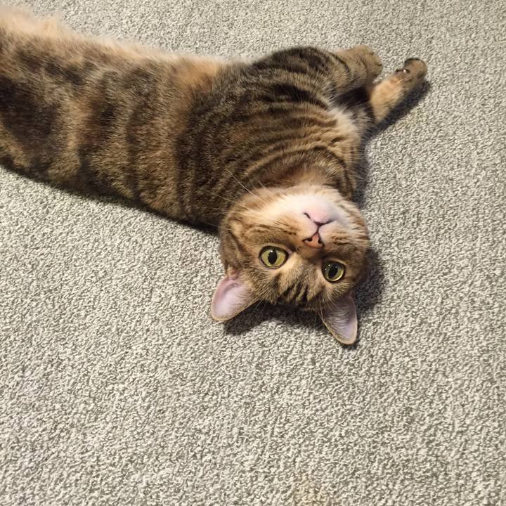 Dde3ab2a 998c 4d95 8d6f 8b9fc37ea536