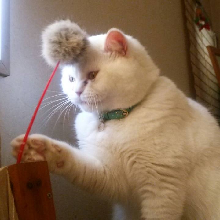 Dde3ceac 6f76 45ac a65a 349fa04a57ad