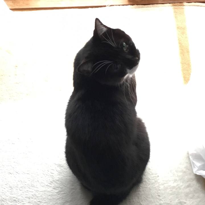 Dde3da2c 176e 4fd4 bf4a 4270752d2a33