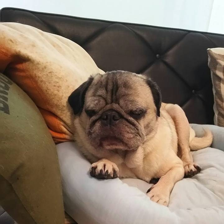 Dde47a16 7a63 4e6b b569 702e7c8590ab