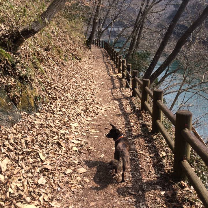 Dde48982 5f52 44eb b918 e7e748b6ad66