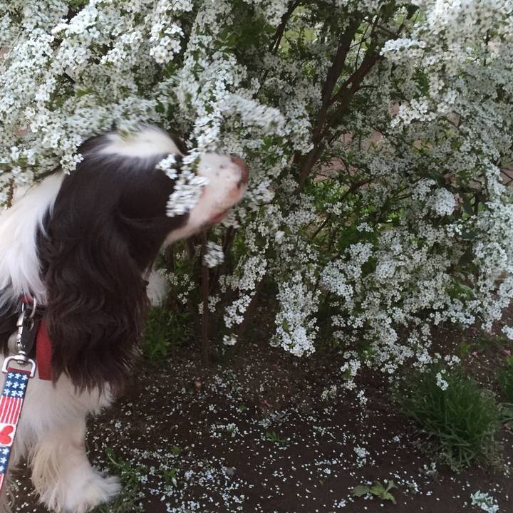 Dde59508 2289 4092 abe2 3ca303fce88e