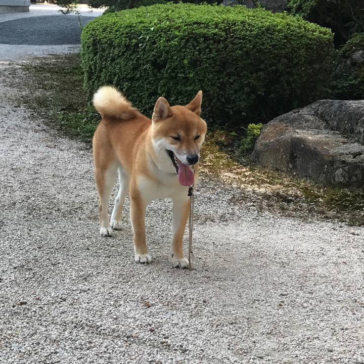 Dde683e3 71c5 4ddd 94e2 b6a4ccb5b44a