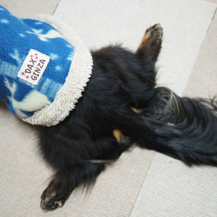 Dde688c1 0e32 4d76 a7d4 8df7a775d6b6