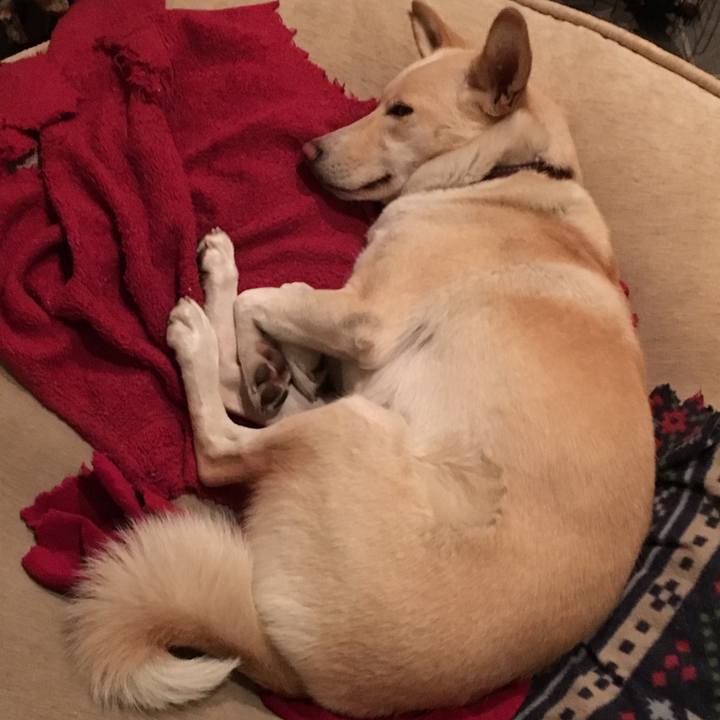 Dde6e326 de4d 4dc7 95dc 3e3eebcabeab