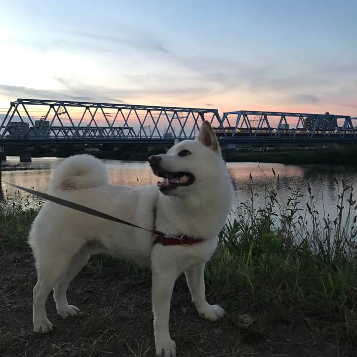 Dde6ef2d ce4c 40e2 87e0 0d7b882c448d