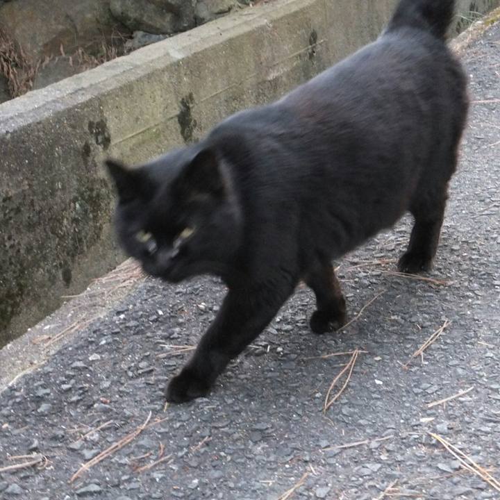 Dde842c4 f2cb 481c 8a20 e386bb084b07