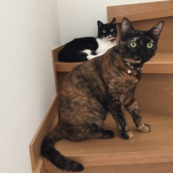 Dde8af09 0038 4a75 afe2 b969b0609392