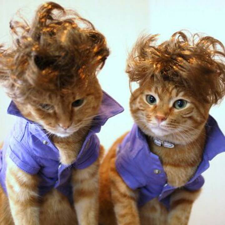 Dde8d8d9 55f3 4d0f bd7c 602e7d6629a7