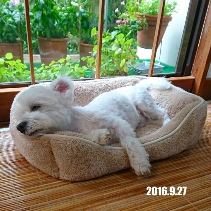 Dde9fe58 773e 4f7c 9a69 fe8d1e331275