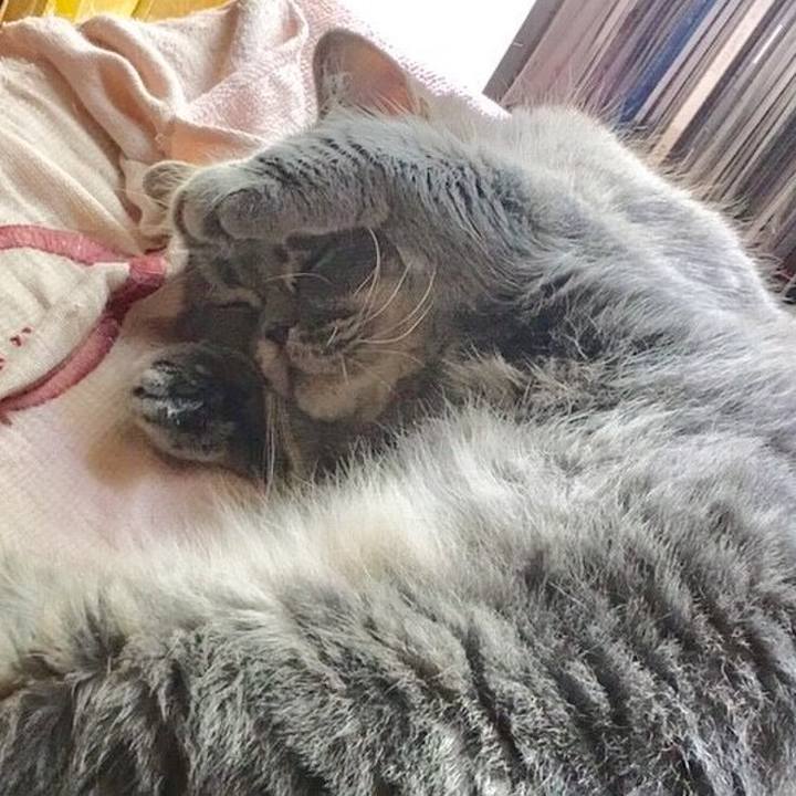 Ddea111f f613 49a2 8440 bb4f1be41048