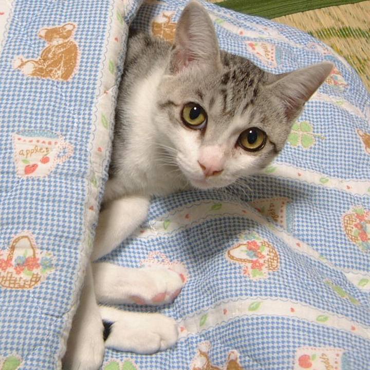 Ddea2838 d86b 49a2 95e0 94db0623bcfd