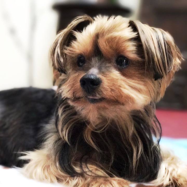 Ddeaa033 0680 45f6 b471 d2326887db4e