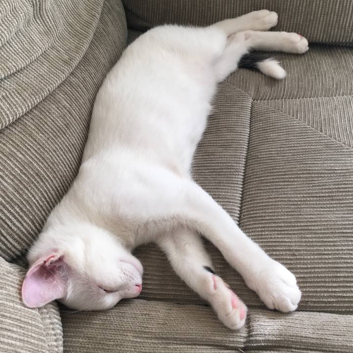 Ddeac8db e18f 4055 b81c 6c927455cfc5