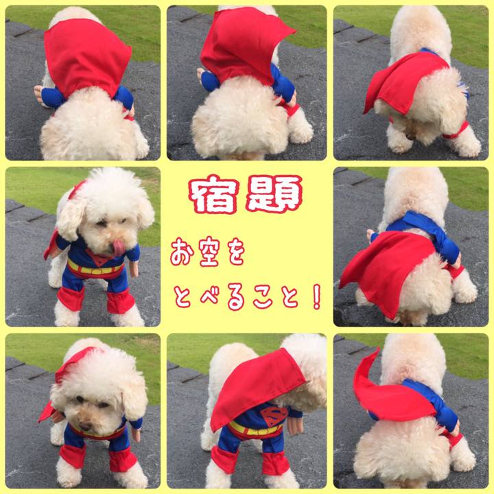 Ddeaf48a 32d3 40ec 93b8 5b1661e74e24