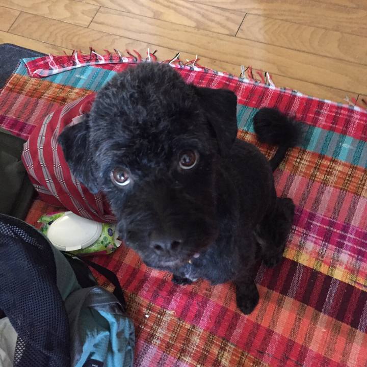 Ddeb06b9 01e8 4e2b afc1 6fa51a75386d