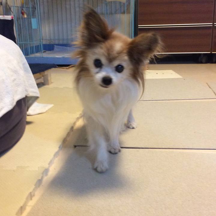 Ddeb0c5c 892e 4e77 b76d db4e29d61acf