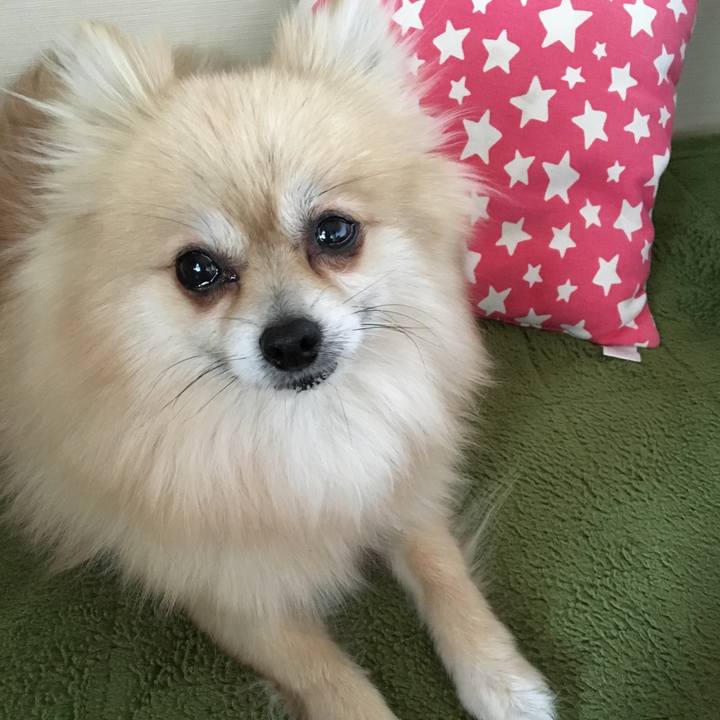 Ddeb5e18 2d18 4aaa 85c8 93403edc28dd