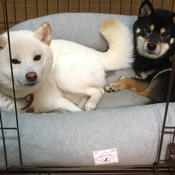 Ddebf282 0f43 4981 a5bf 1d961a6d1719