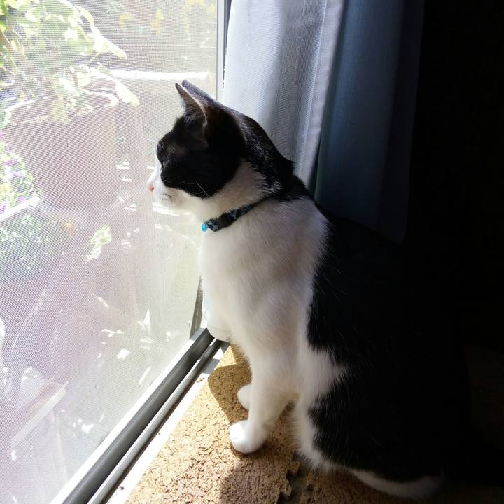 Ddec0846 4c4b 43ca 9a89 d58921779c01