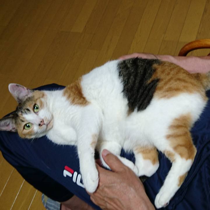 Ddec55fc 4cc4 46e0 8e2a 9fc442cbcd84