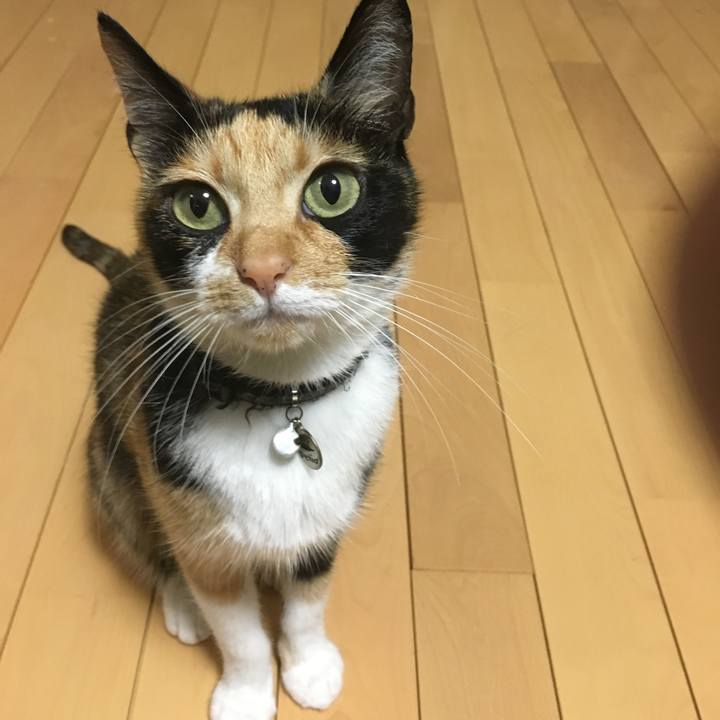 Ddecea49 62be 4f46 81a5 2557a3c250b4