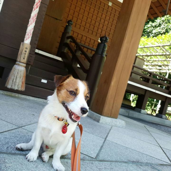 Dded662b 6bd4 4121 b606 0591df02558e