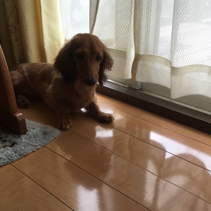 Dded8408 518e 4ff3 aab4 ce8c4232b31e