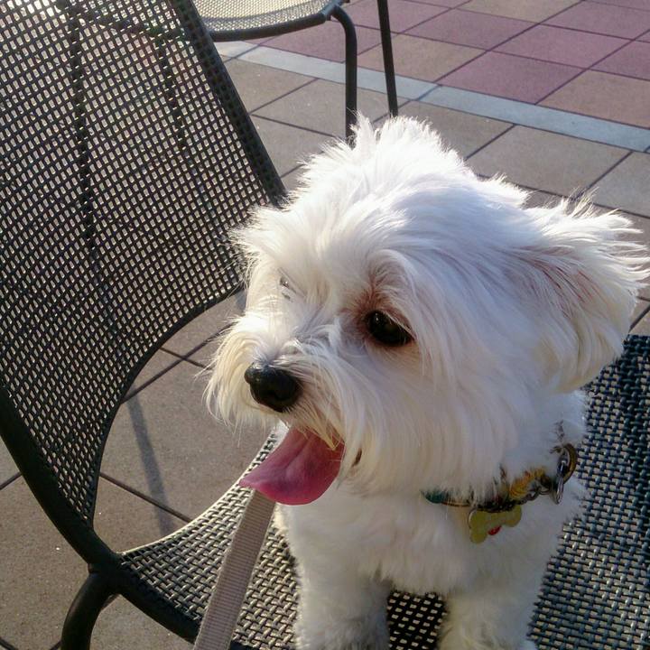 Ddedad8e c11d 4bfd 8867 92082fb82f77