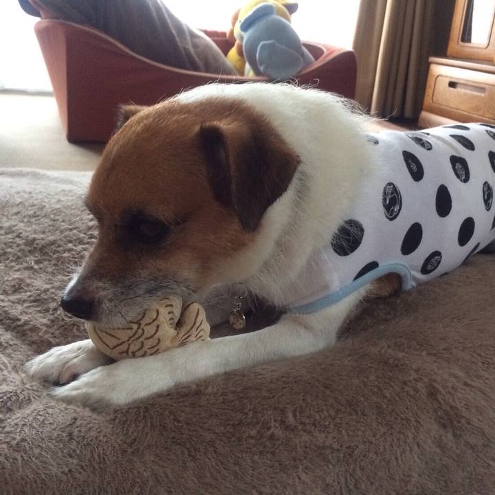 Ddedc504 4e92 4b2e be77 d7b2f31fc104