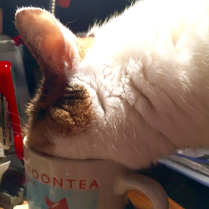 Ddee7462 8c21 482f 9c42 64b5d5373ff5