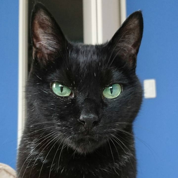 Ddee84c4 3123 4428 98e6 ff8bbdcd9383