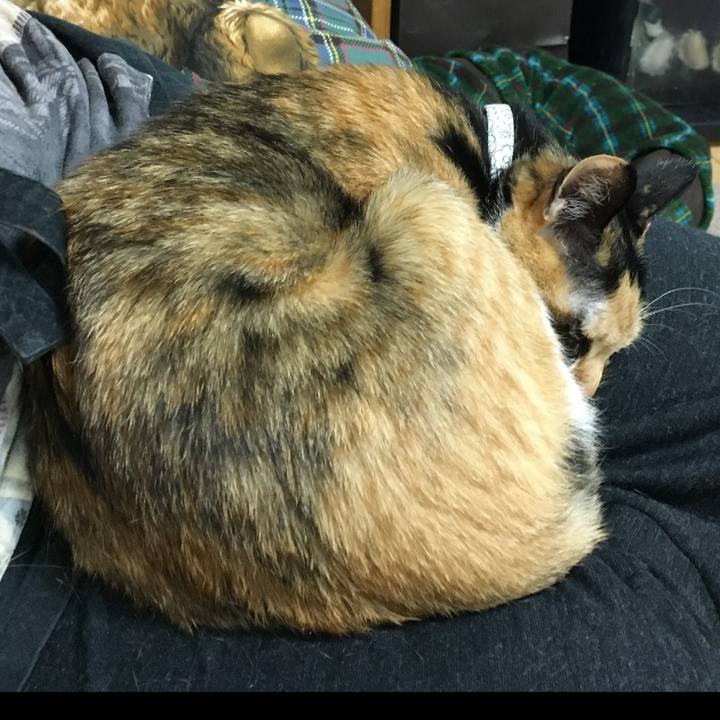 Ddee9a90 2176 4a99 a50c bb842bbcb1e1