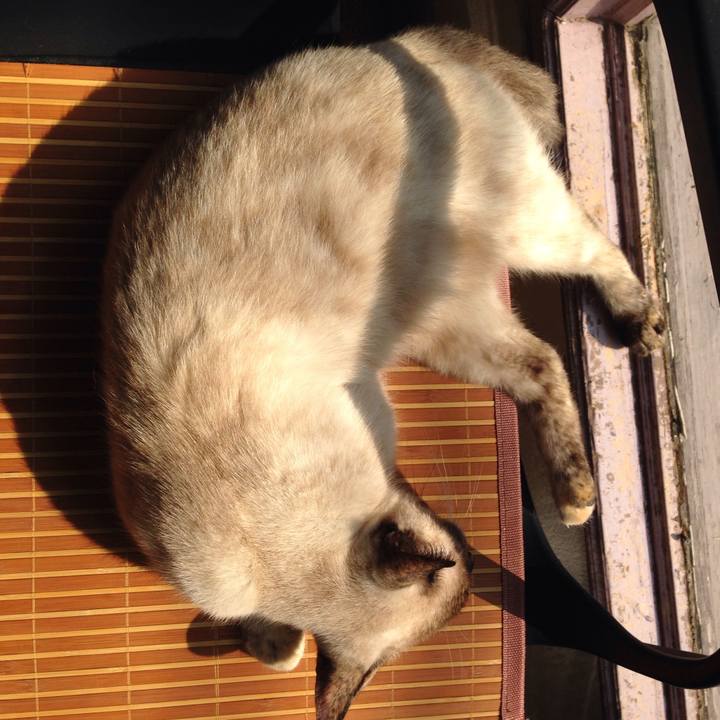 Ddeef372 d435 4875 9b89 6d5288278a96