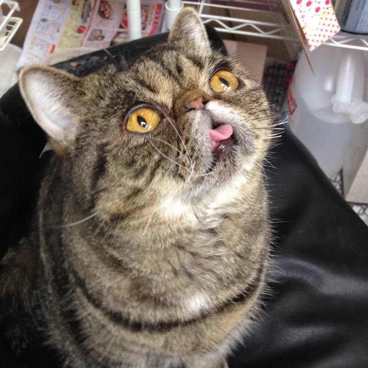 Ddefe5d5 42a8 4a7c bacf 595201e77b6f