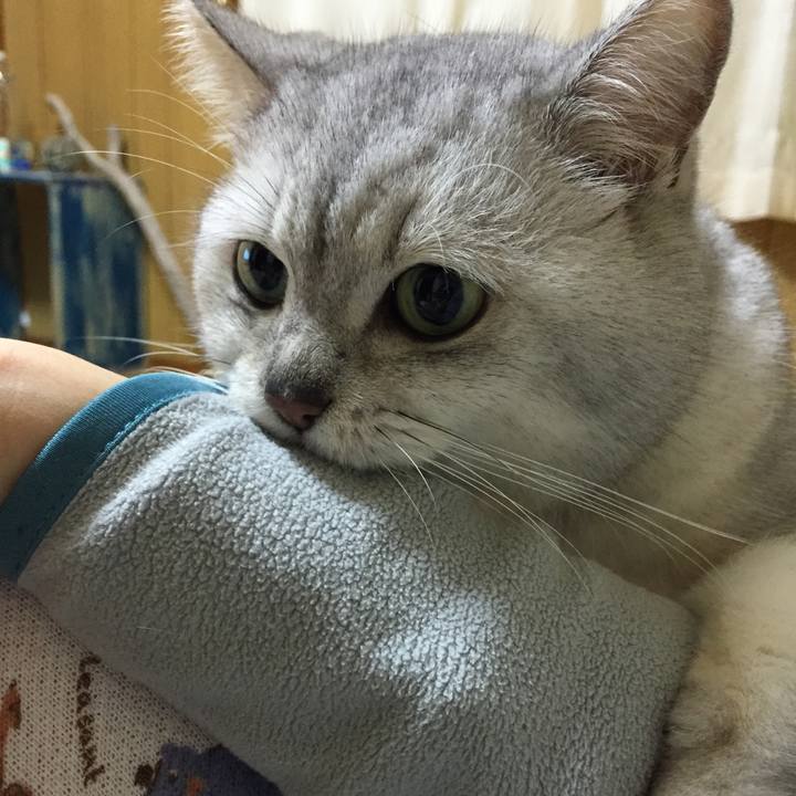 Ddf08623 96d2 485d 9dad 0c95f78fd84d