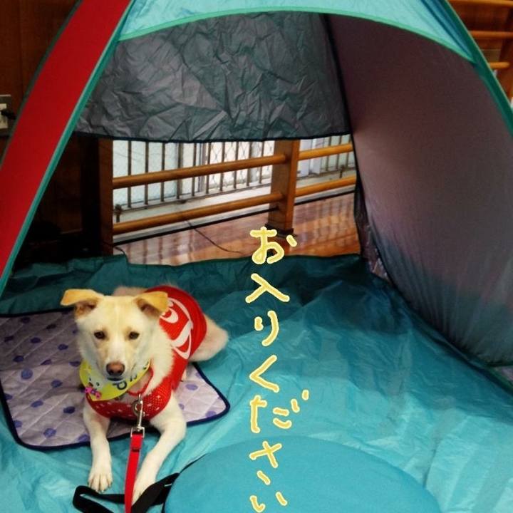 Ddf094db 3e65 4629 9175 b82adabc1b48