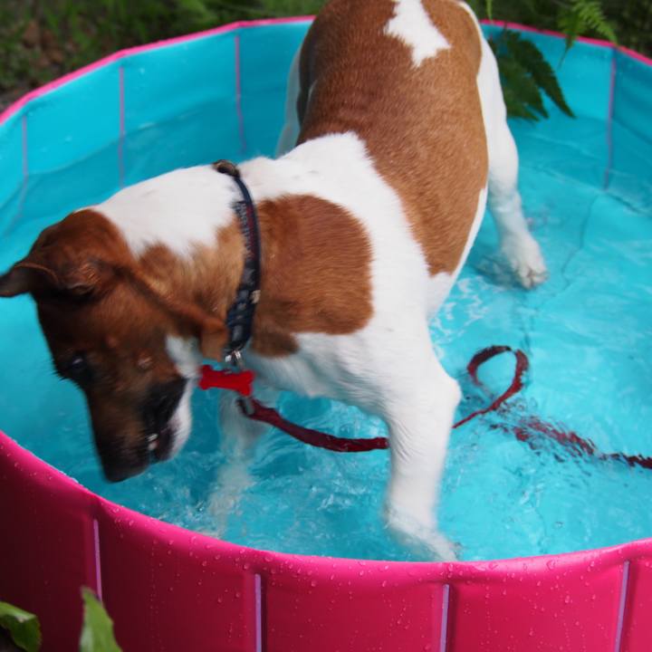 Ddf096ae 1bc5 4d4b 9a23 1f1b101adc80