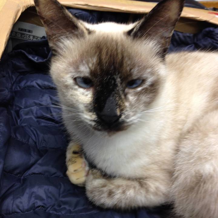 Ddf0a0ed d0ea 49ae 9795 844b3e94d998