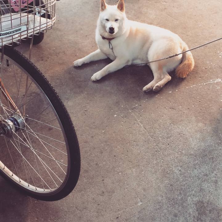 Ddf11e32 4f70 416e a879 5dcf498b3500