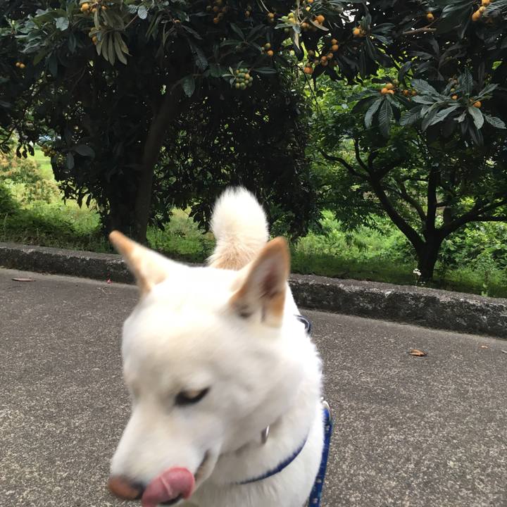 Ddf12872 c566 4a5d 85f6 74dddebe8757