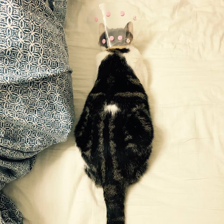 Ddf17736 776a 4124 8daa f40f8a3605d3