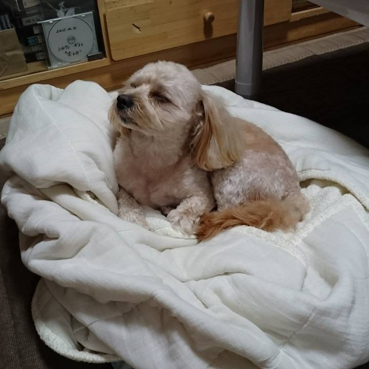 Ddf1c108 23a0 4a5b a42e 2742e3c4cd06