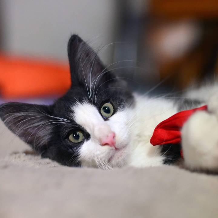 Ddf1e94e 4cb9 49fb ba2f 0dfee3c632f4