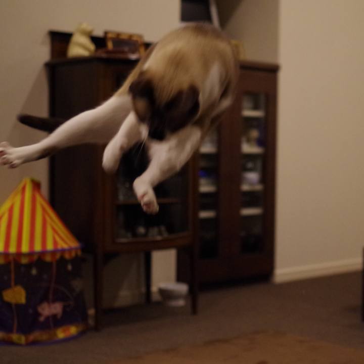 Ddf29cb5 6068 4e43 b984 07c74b44e31a