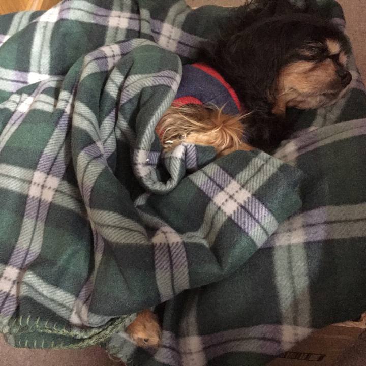 Ddf2ac06 f97d 4dab b6e5 472d7a78bd05