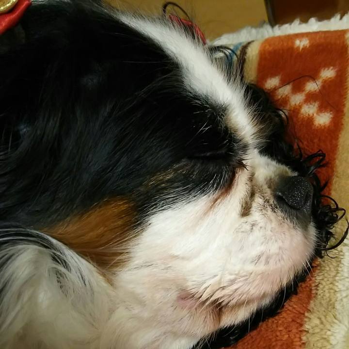 Ddf2fe09 bfae 4915 9f87 f398c1f3ae23