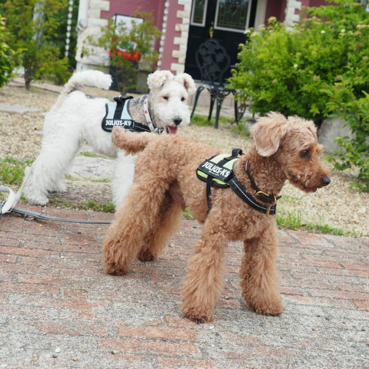 Ddf30cce 422e 4c15 80bf 13b67df7918e